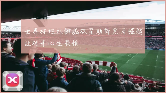 世界杯巡礼挪威双星助阵黑马崛起让对手心生畏惧