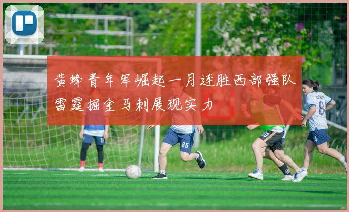 黄蜂青年军崛起一月连胜西部强队雷霆掘金马刺展现实力