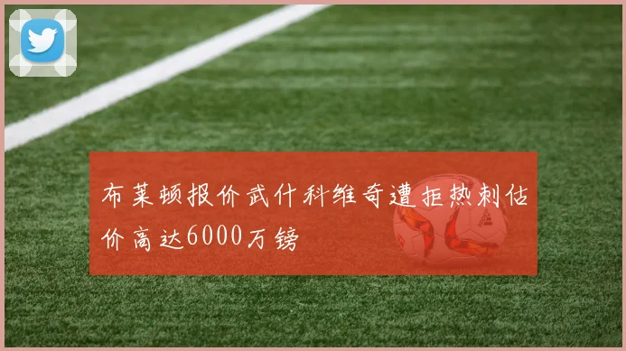 布莱顿报价武什科维奇遭拒热刺估价高达6000万镑